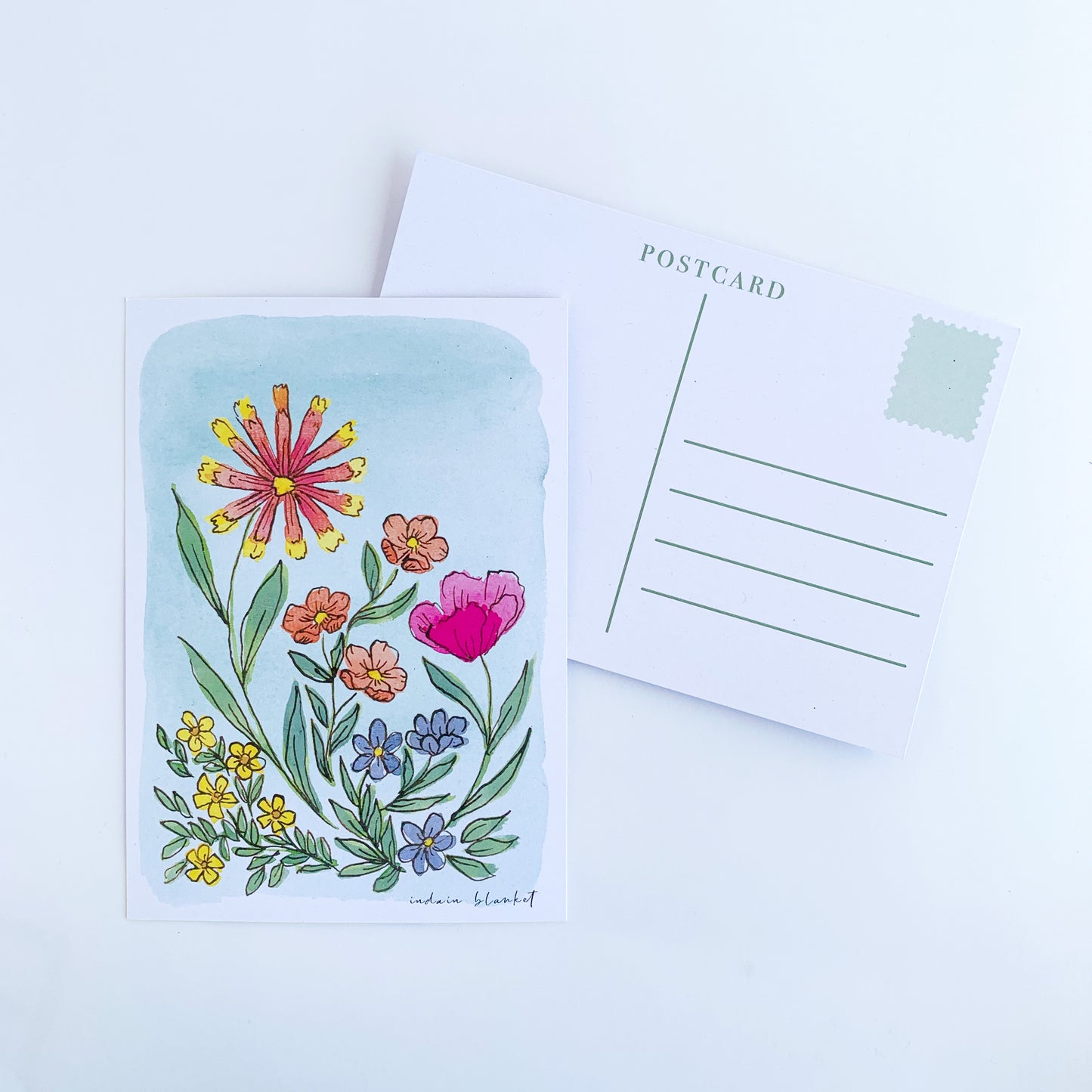 Indian Blanket Postcard