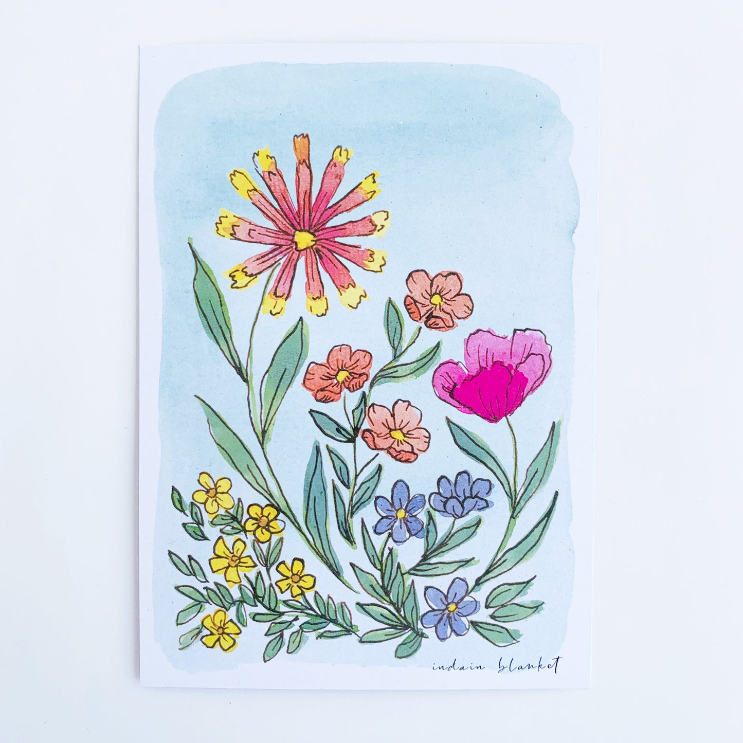 Indian Blanket Postcard